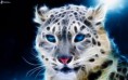 /album/animales/cheetah-fractal-animales-de-fractal-160608-jpg/